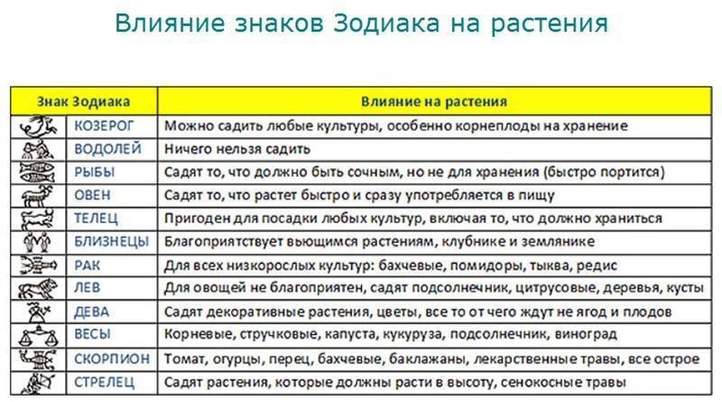 9 идей как можно легко и недорого обновить дачу